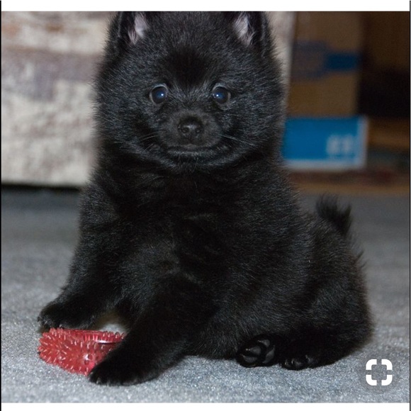 ๐I Wish You Happiness & Prosperity For 2020 ๐๐ - Picture 3 of 6